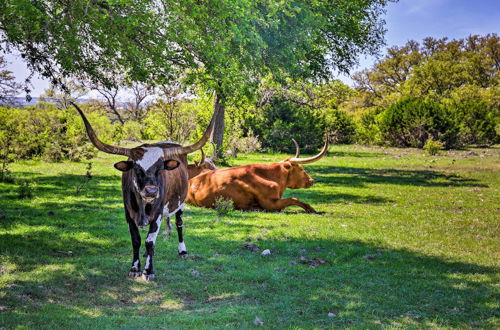 Photo 10 - Cozy Boerne Casita w/ Patio, ~ 13 Mi to Downtown