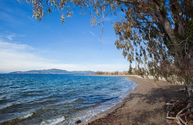 Karnagio Seafront in Agria - Photo 10