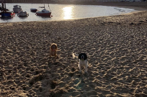 Foto 44 - Winterstoke View, Family and dog Friendly Beach Retreat