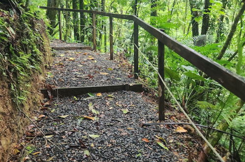 Photo 36 - Cabañas Caeli Rainforest Glass Cabin La Perezosa La Fortuna