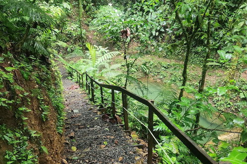 Photo 37 - Cabañas Caeli Rainforest Glass Cabin La Perezosa La Fortuna