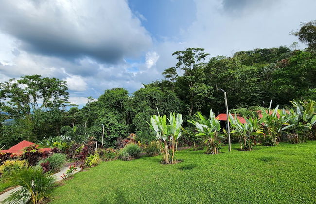 Cabañas Caeli Rainforest Glass Cabin La Perezosa La Fortuna - Foto 45
