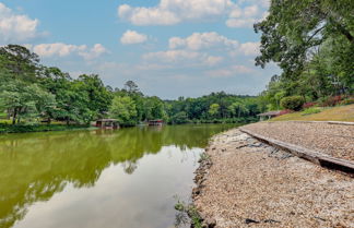 Photo 3 - Lakefront Hot Springs Vacation Rental w/ Dock