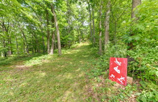 Photo 3 - Pet-friendly Lyndon Station Cabin - Hike & Fish