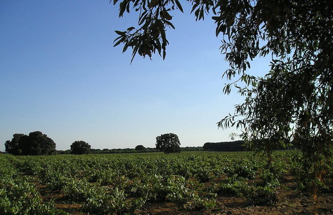 Casa Rural La Navarra - Foto 39