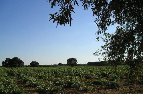 Foto 40 - Casa Rural La Navarra