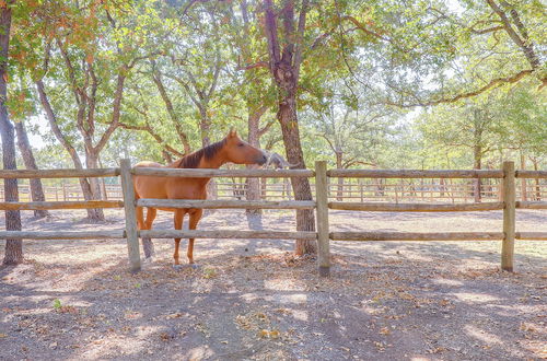 Foto 18 - Horse-friendly Weatherford Oasis w/ Splash Pool