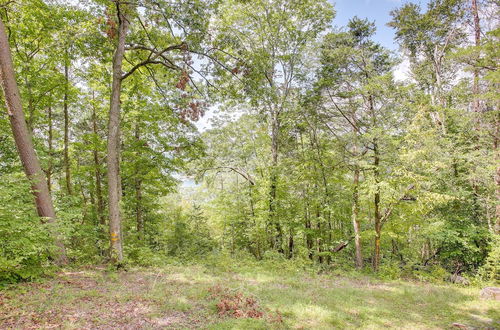 Photo 14 - Secluded Jamestown Cabin w/ Fire Pit