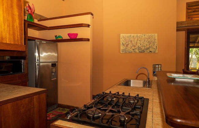 Tropical Breeze - Photo 27