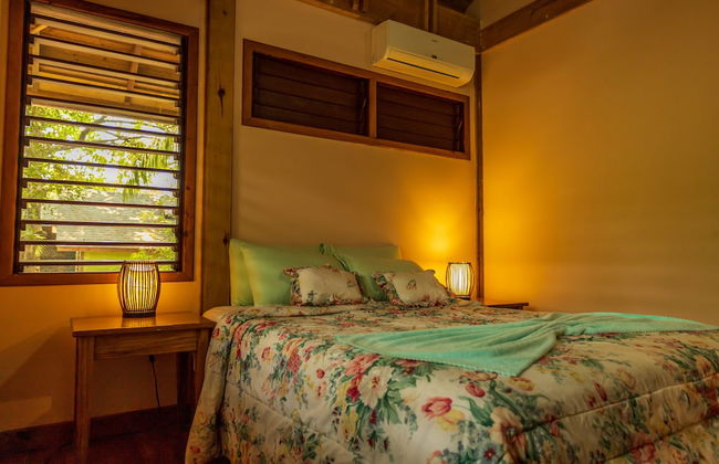 Tropical Breeze - Photo 16