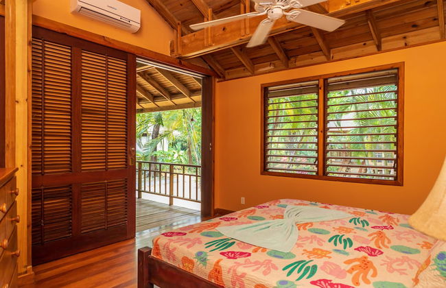 Tropical Breeze - Photo 14