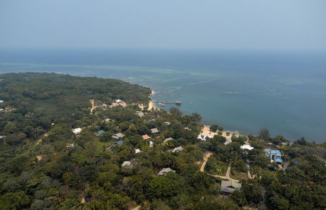 Tropical Breeze - Photo 3