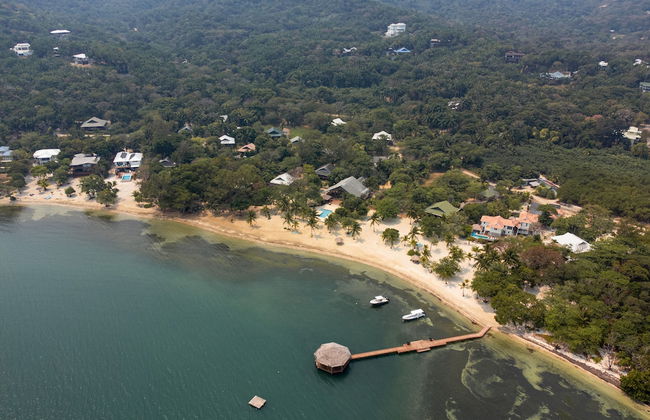 Tropical Breeze - Photo 11