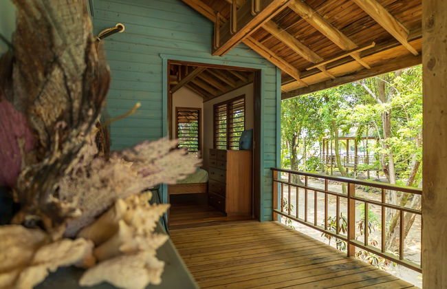 Tropical Breeze - Photo 39