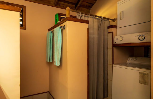 Tropical Breeze - Photo 2