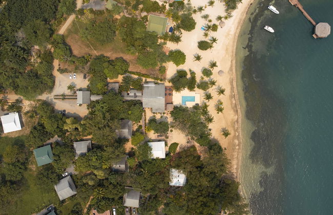 Tropical Breeze - Photo 9