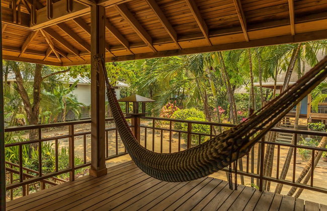 Tropical Breeze - Photo 49