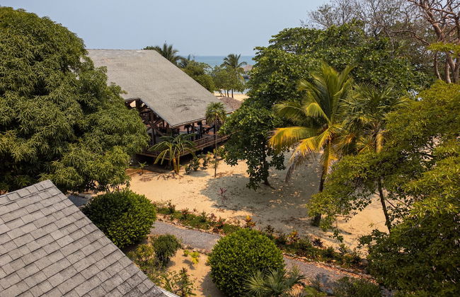 Tropical Breeze - Photo 46