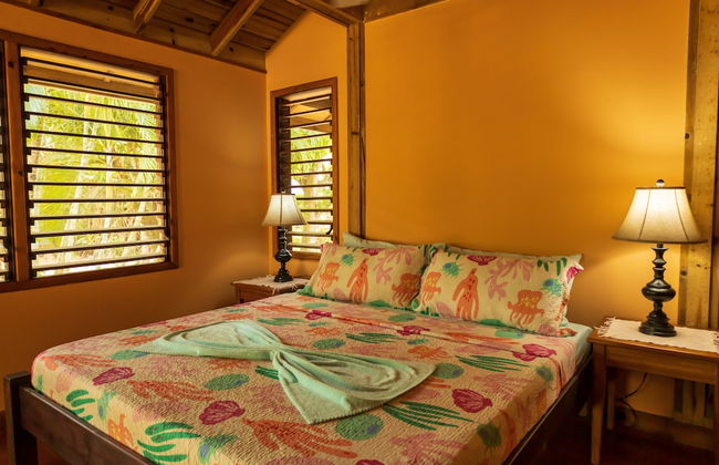 Tropical Breeze - Photo 18