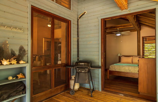 Tropical Breeze - Photo 40