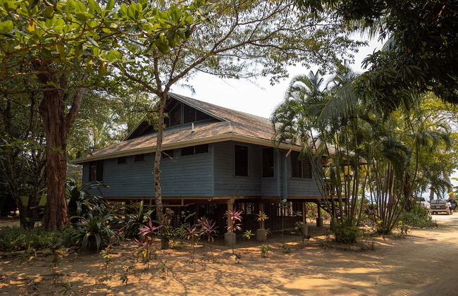 Tropical Breeze - Photo 8