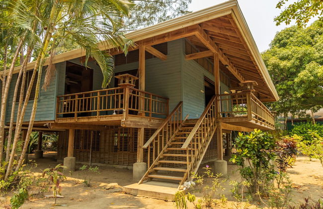 Tropical Breeze - Photo 50