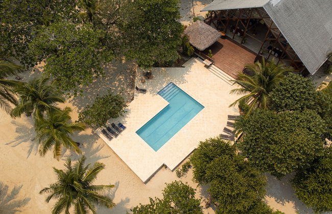 Tropical Breeze - Photo 1