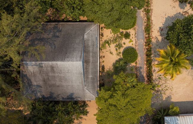 Tropical Breeze - Photo 4