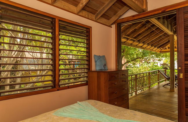 Tropical Breeze - Photo 25