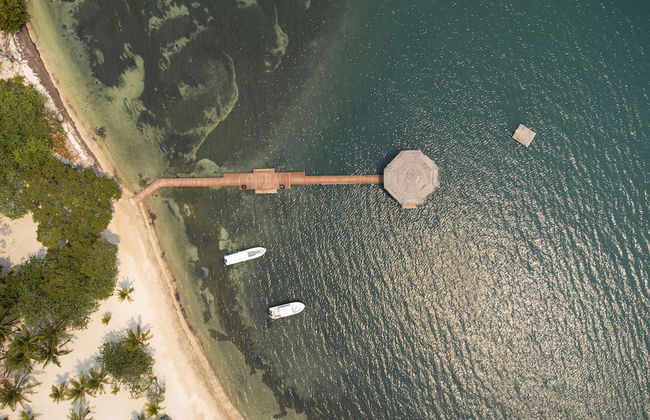 Tropical Breeze - Photo 10