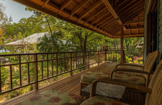 Tropical Breeze - Photo 45