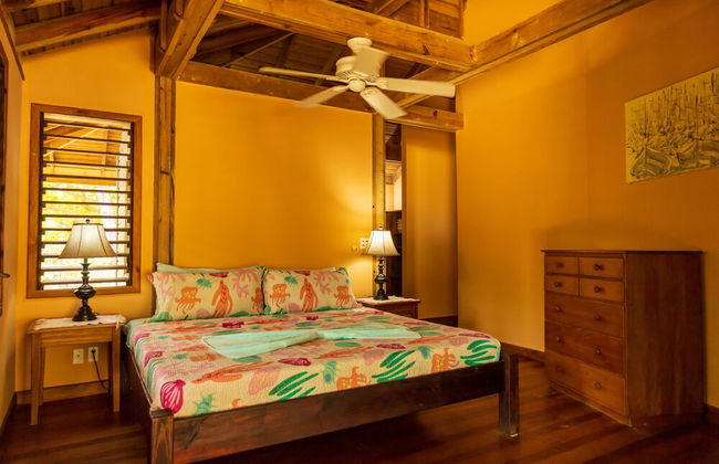 Tropical Breeze - Photo 17