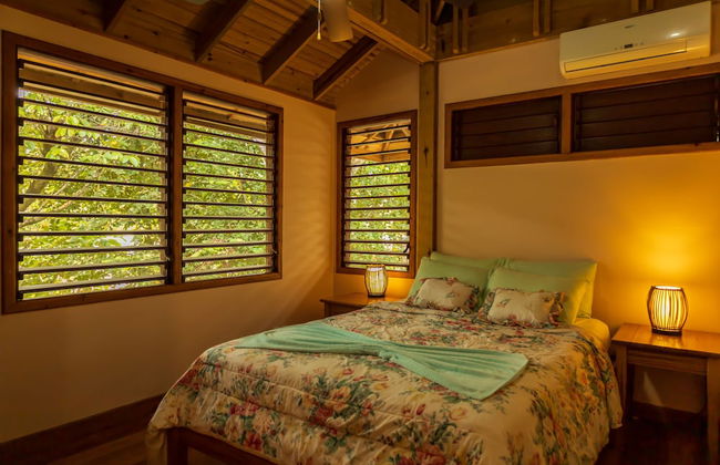 Tropical Breeze - Photo 15