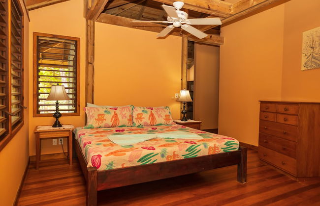 Tropical Breeze - Photo 13