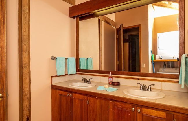 Tropical Breeze - Photo 47