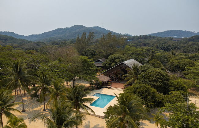 Tropical Breeze - Photo 12