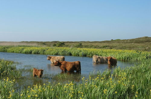 Photo 27 - Comfortable Chalet in the Texel Dune Areal