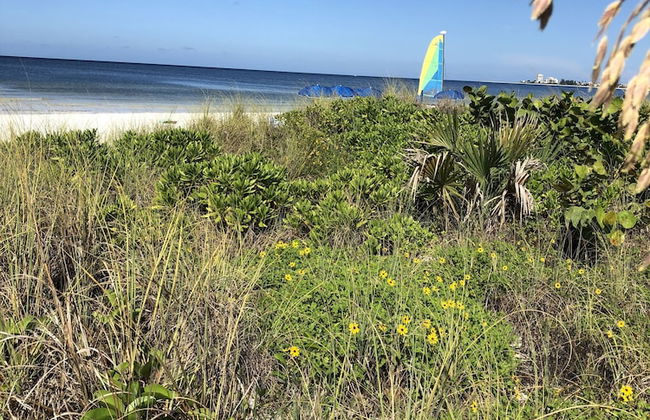Siesta Palms By the Beach - Foto 65