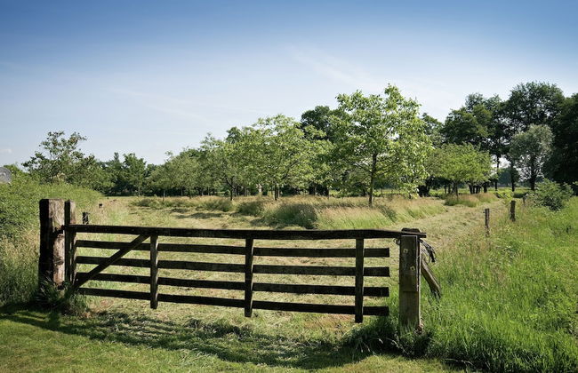 Stylish Farmhouse Escape - Foto 19