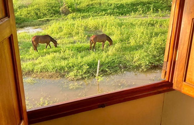 Cabaña San Andrés - Foto 27
