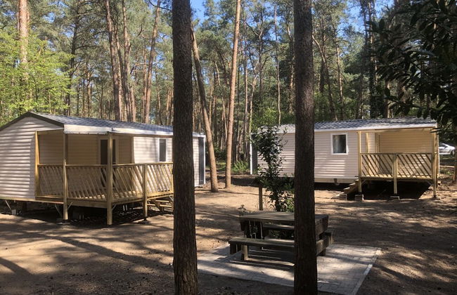 Spacious 6-person Chalet in Antwerp - Foto 19
