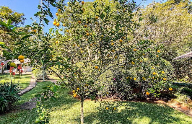 Chácara Espetacular em Ibiúna - Foto 33