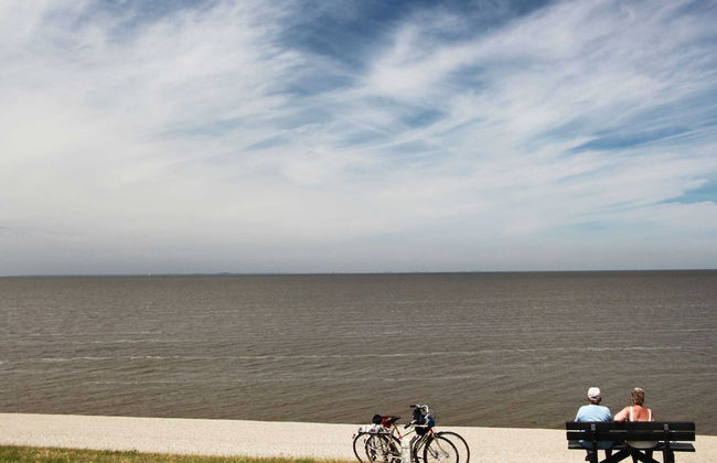 Chalet Near the Wadden Sea - Foto 28