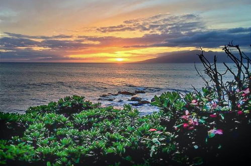 Photo 27 - Mahina Surf by TO