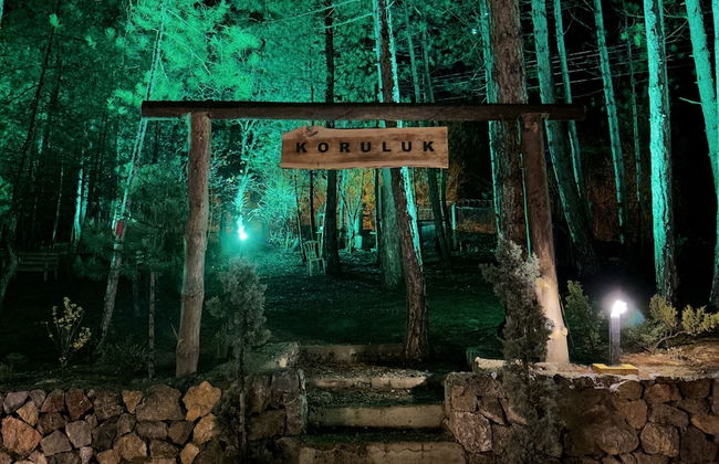 Koru Aura Mengen - Foto 14