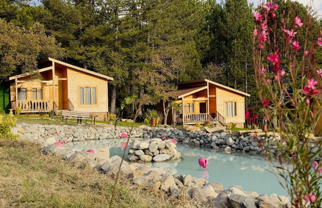 Koru Aura Mengen - Foto 26