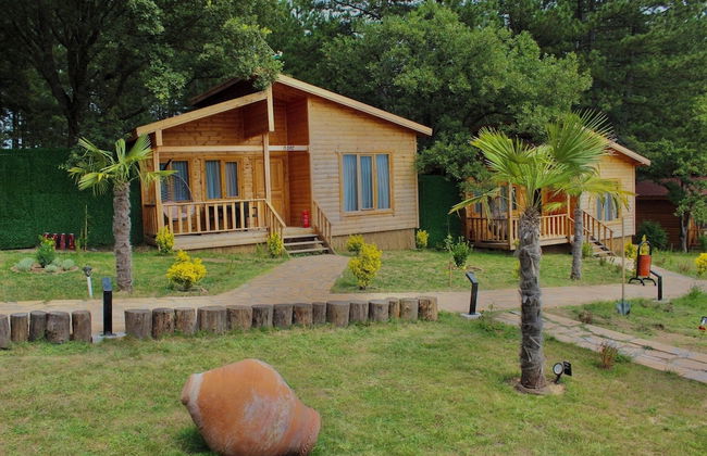 Koru Aura Mengen - Foto 10