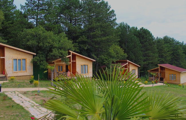 Koru Aura Mengen - Foto 24