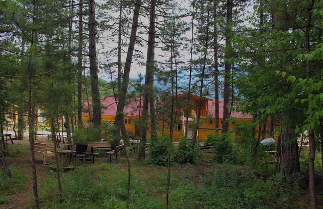 Koru Aura Mengen - Foto 25