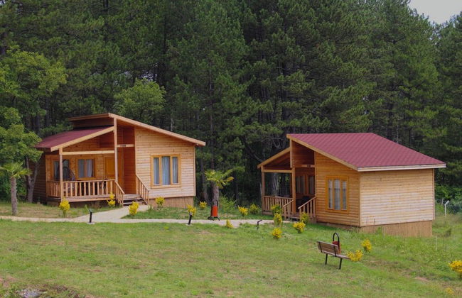 Koru Aura Mengen - Foto 9